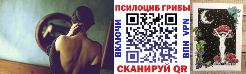 Псилоцибиновые грибы GOLDEN TEACHER  наркота  Олёкминск 